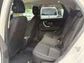 Land Rover Discovery Sport 2.0TD4 SE 4x4 Aut. 150 Blanco - thumbnail 12