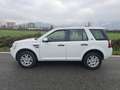 Land Rover Freelander 2.2 sd4 SE 4wd 190cv auto - thumbnail 16