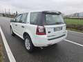 Land Rover Freelander 2.2 sd4 SE 4wd 190cv auto - thumbnail 4