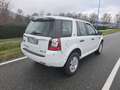 Land Rover Freelander 2.2 sd4 SE 4wd 190cv auto - thumbnail 3