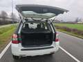Land Rover Freelander 2.2 sd4 SE 4wd 190cv auto - thumbnail 5