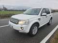 Land Rover Freelander 2.2 sd4 SE 4wd 190cv auto - thumbnail 14