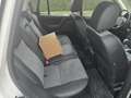 Land Rover Freelander 2.2 sd4 SE 4wd 190cv auto - thumbnail 12