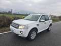 Land Rover Freelander 2.2 sd4 SE 4wd 190cv auto - thumbnail 2