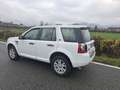 Land Rover Freelander 2.2 sd4 SE 4wd 190cv auto - thumbnail 17