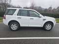 Land Rover Freelander 2.2 sd4 SE 4wd 190cv auto - thumbnail 15