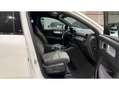 Volvo XC40 B3 Plus Aut. Blanco - thumbnail 29