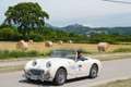 Austin-Healey Sprite White - thumbnail 6