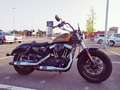 Harley-Davidson Sportster Forty Eight Hard Candy Custom Oro - thumbnail 1
