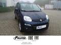 Fiat Panda 1.2 8V Lounge *Klima*ZV*5-Sitzer Blau - thumbnail 1