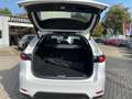 Mazda CX-60 Homura PHEV 327 PS *Convenience/Sound/DA-Paket* Weiß - thumbnail 9