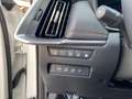 Mazda CX-60 Homura PHEV 327 PS *Convenience/Sound/DA-Paket* Weiß - thumbnail 14