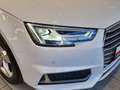 Audi A4 40 TDI Sport Weiß - thumbnail 7