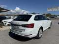 Skoda Superb Combi 2.0TDI AdBlue Ambition DSG 110kW Blanc - thumbnail 13