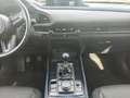 Mazda CX-30 SKYACTIV-G 2.0 150PS 6GS SELECTION ACT-P Negro - thumbnail 7