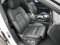 Porsche Cayenne Coupe Matrix HUD KeyGo Pano Bose ACC Spurwe 360Kam Blanc - thumbnail 12