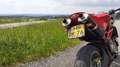 Moto Morini Corsaro 1200 | 19.274 km | topstaat | beurt + banden + etc etc Rouge - thumbnail 3