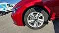 Volkswagen Golf 1.0 ETSI MHEV 81KW DSG LIFE 110 5P Rojo - thumbnail 5