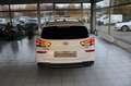 Hyundai i30 cw Edition 30+ Mild-Hybrid LED NAVI KAMERA Weiß - thumbnail 5