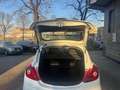 Opel Corsa autocarro van tdci 1.3 Bianco - thumbnail 6