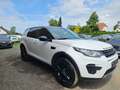 Land Rover Discovery Sport SE AWD | TÜV neu Blanc - thumbnail 4