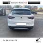 Alfa Romeo Stelvio Stelvio 2.2 t Business Q4 190cv auto my19 Bianco - thumbnail 3