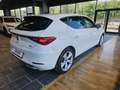 SEAT Leon Leon 1.0 TSI 110 CV FR Bianco - thumbnail 3
