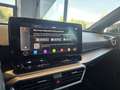 SEAT Leon Leon 1.0 TSI 110 CV FR Bianco - thumbnail 11