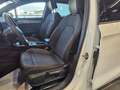 SEAT Leon Leon 1.0 TSI 110 CV FR Bianco - thumbnail 9