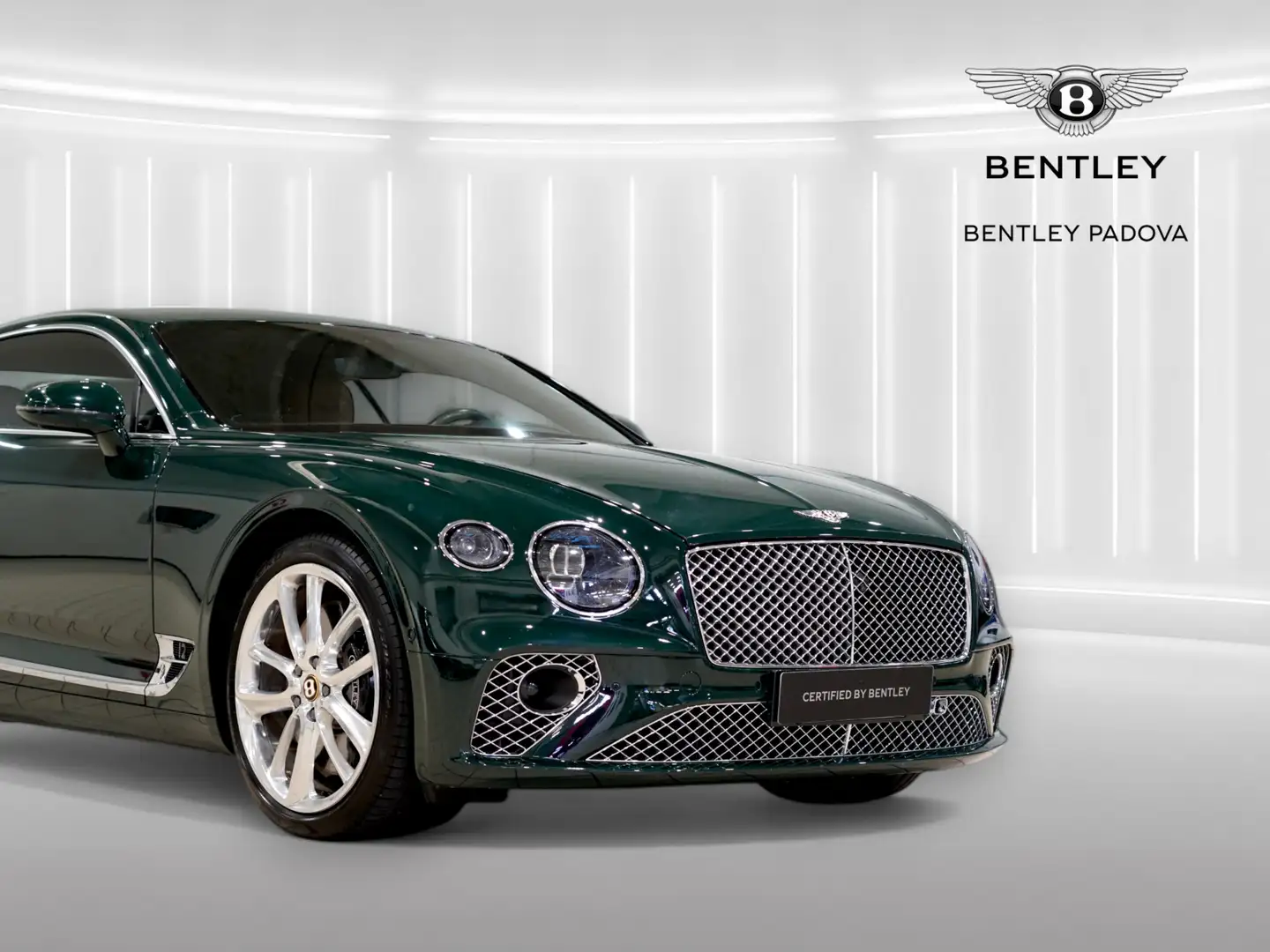 Bentley Continental GT 6.0 W12 - 635cv auto - 100° Special Edition Verde - 2