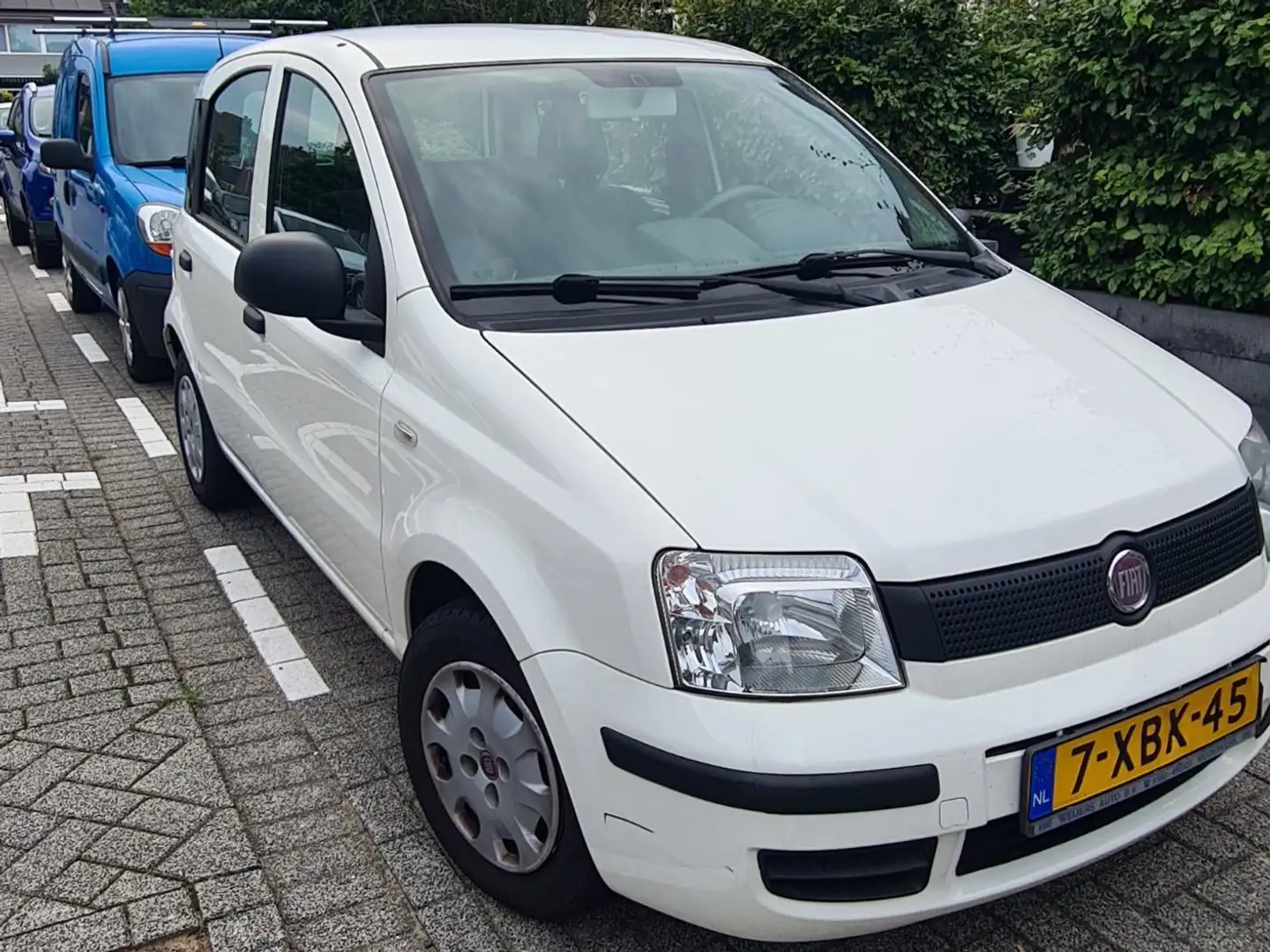 Fiat Panda Panda 1.2 Classic Blanc - 2