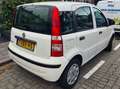 Fiat Panda Panda 1.2 Classic Blanc - thumbnail 3