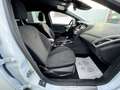 Ford Focus Turnier ST-Line SPORT- 140PS! Weiß - thumbnail 11