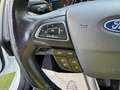 Ford Focus Turnier ST-Line SPORT- 140PS! Weiß - thumbnail 22
