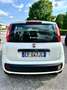 Fiat Panda 1.3 mjt NEOPATENTE 5 PORTE GARANZIA TCARS Blanc - thumbnail 1