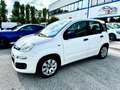 Fiat Panda 1.3 mjt NEOPATENTE 5 PORTE GARANZIA TCARS Blanc - thumbnail 3