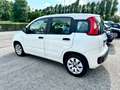 Fiat Panda 1.3 mjt NEOPATENTE 5 PORTE GARANZIA TCARS Blanc - thumbnail 4