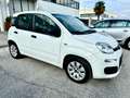 Fiat Panda 1.3 mjt NEOPATENTE 5 PORTE GARANZIA TCARS Blanc - thumbnail 6