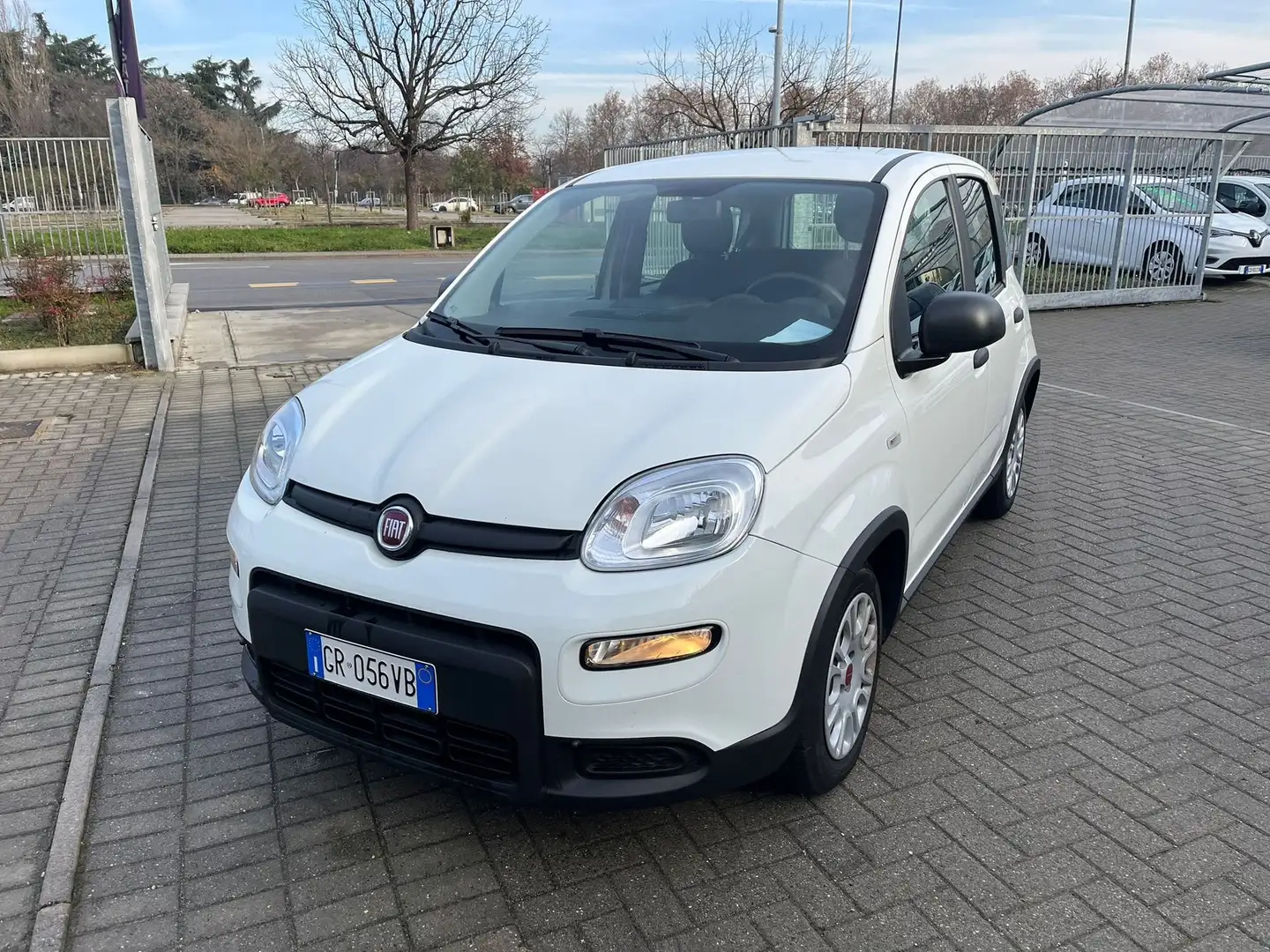 Fiat Panda Panda 1.0 FireFly S&S Hybrid Bianco - 1