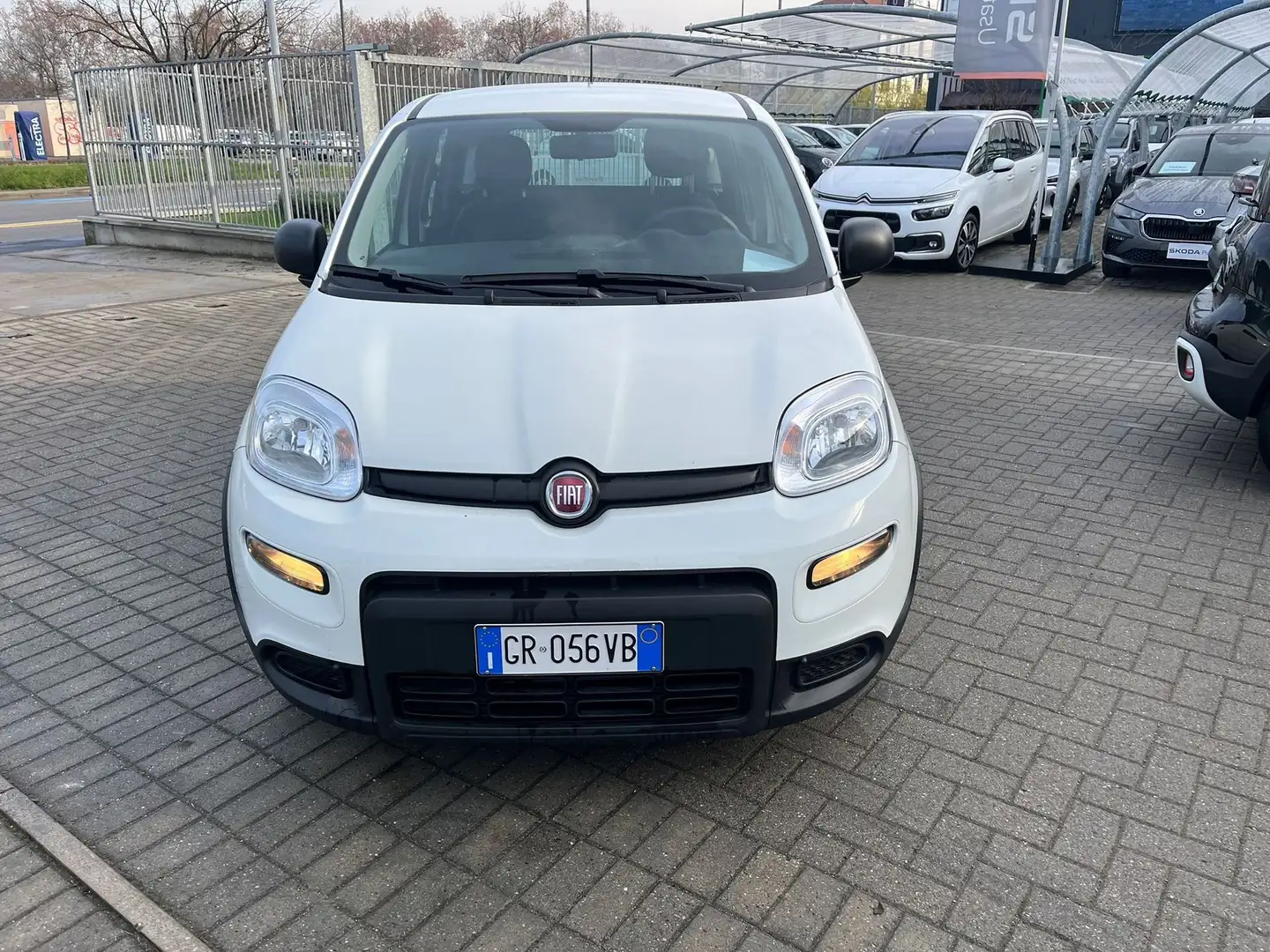 Fiat Panda Panda 1.0 FireFly S&S Hybrid Bianco - 2