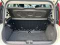 Fiat Panda Panda 1.0 FireFly S&S Hybrid Bianco - thumbnail 12