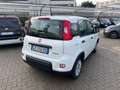 Fiat Panda Panda 1.0 FireFly S&S Hybrid Bianco - thumbnail 9