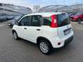 Fiat Panda Panda 1.0 FireFly S&S Hybrid Bianco - thumbnail 8