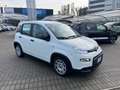 Fiat Panda Panda 1.0 FireFly S&S Hybrid Bianco - thumbnail 3