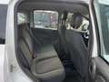 Fiat Panda Panda 1.0 FireFly S&S Hybrid Bianco - thumbnail 15