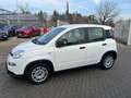 Fiat Panda Panda 1.0 FireFly S&S Hybrid Bianco - thumbnail 6