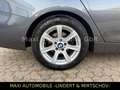 BMW 320 AUT-NAV-LED-LEDER-KAMERA- Grau - thumbnail 5