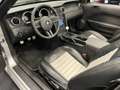 Ford Mustang USA Convertible 4.6i V8 GT 335PK Roush Limited Nr. Zilver - thumbnail 2