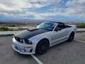 Ford Mustang USA Convertible 4.6i V8 GT 335PK Roush Limited Nr. Zilver - thumbnail 49