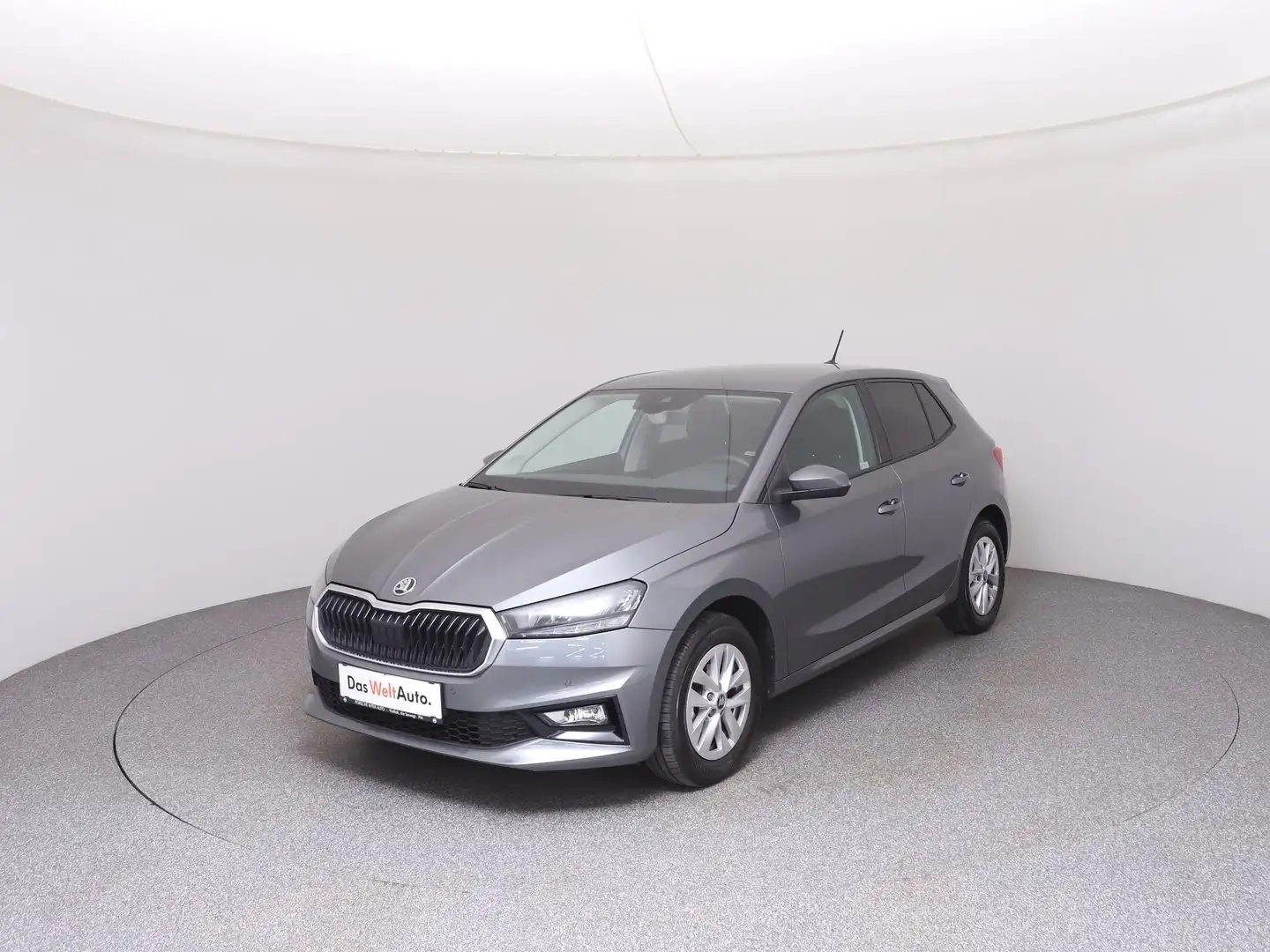 Skoda Fabia Selection TSI Grau - 1